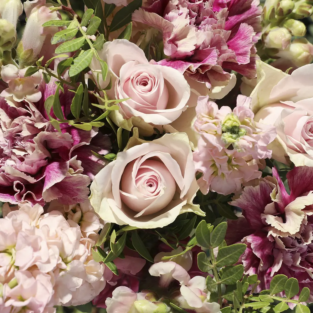 Alea & Frisch gerösteter Kaffee | Geschenkset | Bloom & Wild