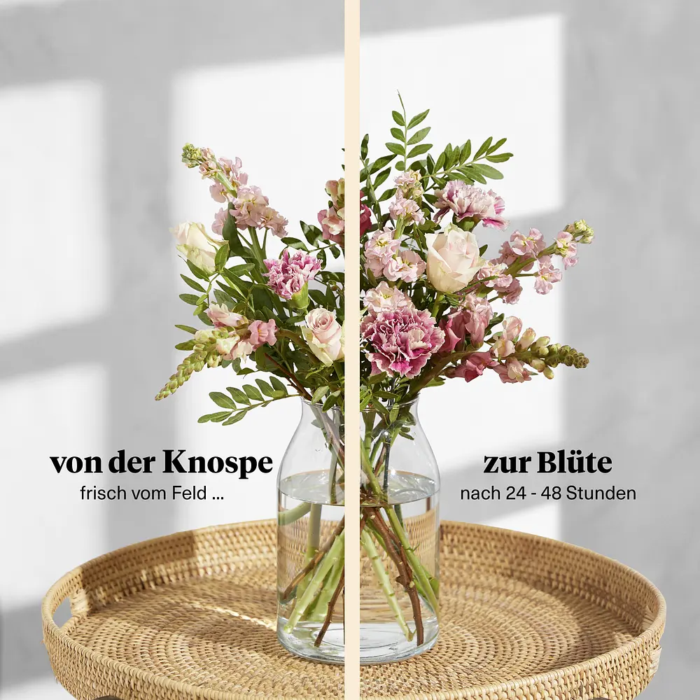 Alea & Frisch gerösteter Kaffee | Geschenkset | Bloom & Wild