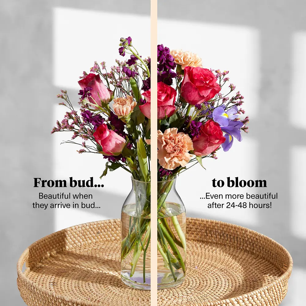The Daniela | Letterbox Flowers | Bloom & Wild