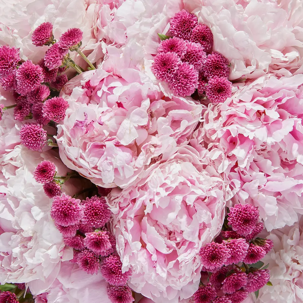 The Emma Deluxe | Hand-tied Flowers | Bloom & Wild