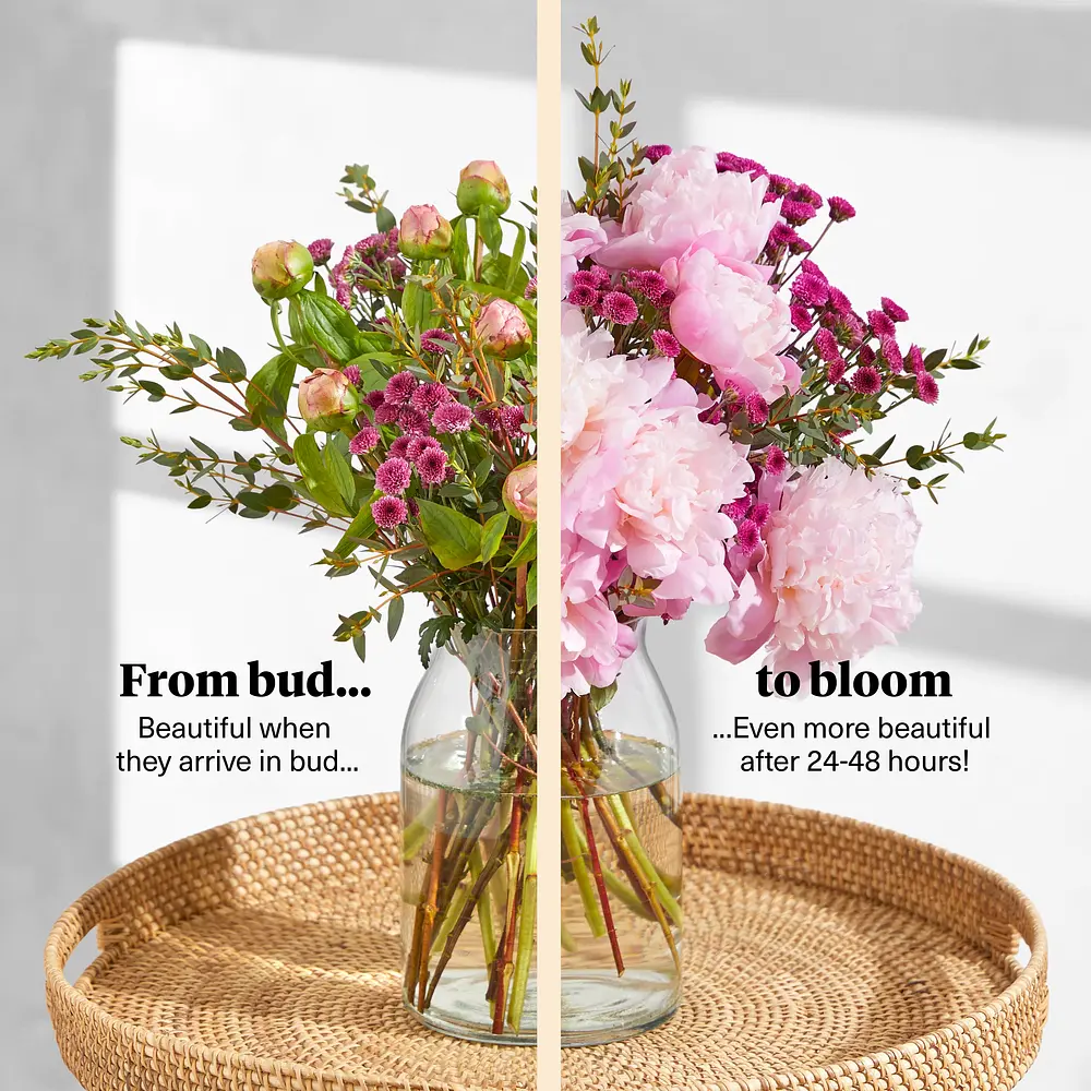 The Emma Deluxe | Hand-tied Flowers | Bloom & Wild