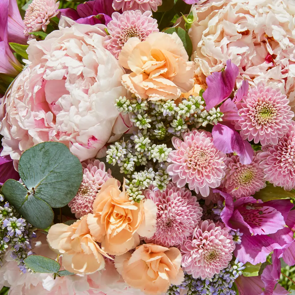 Bloom & Wild Flower Delivery | Flowers & Gifts