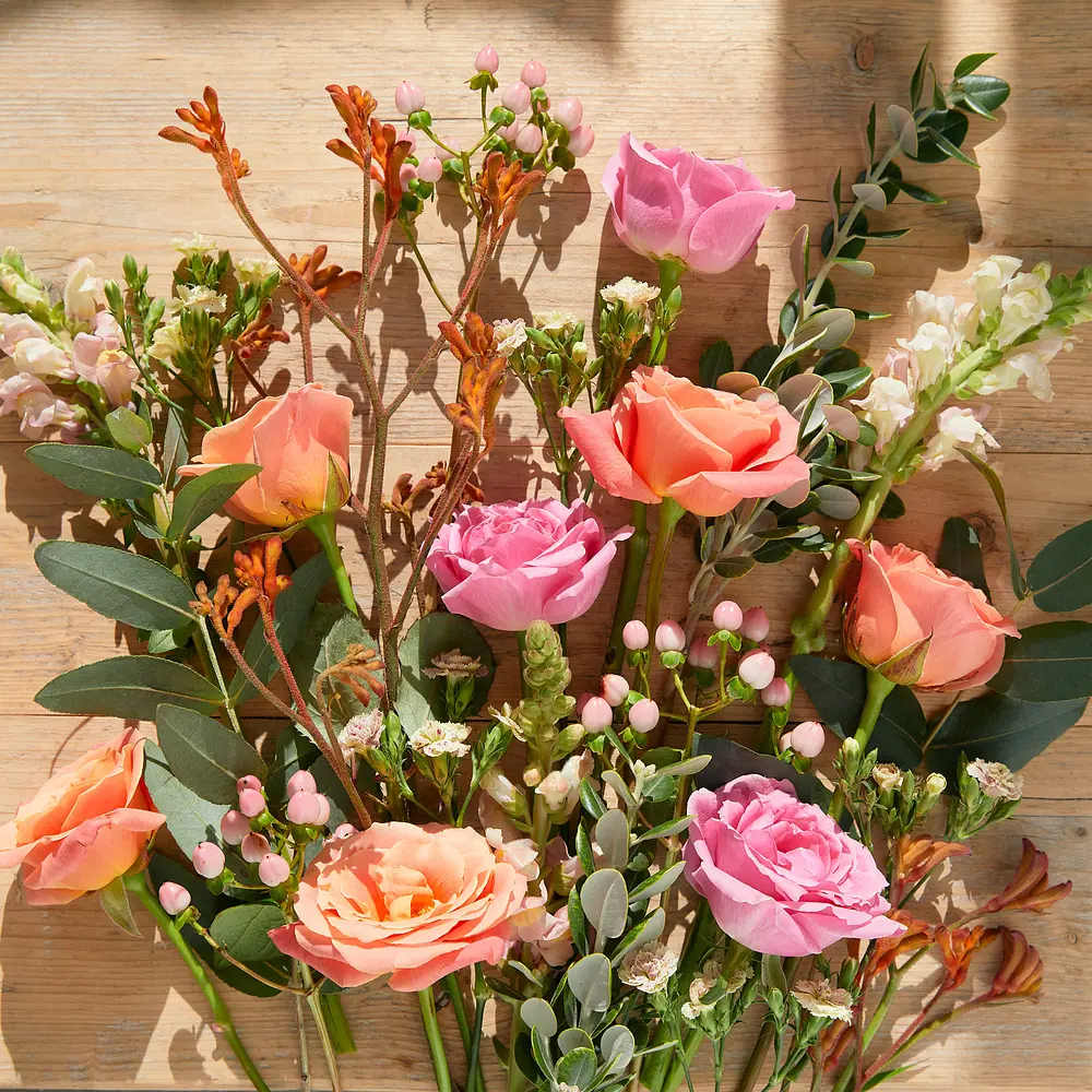 Bloom & Wild Flower Delivery Flowers & Gifts