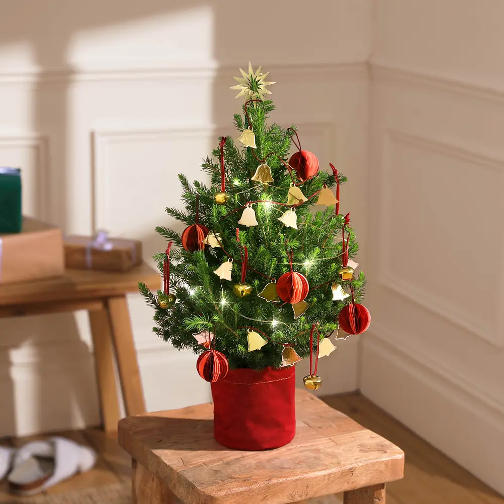 Letterbox store christmas tree