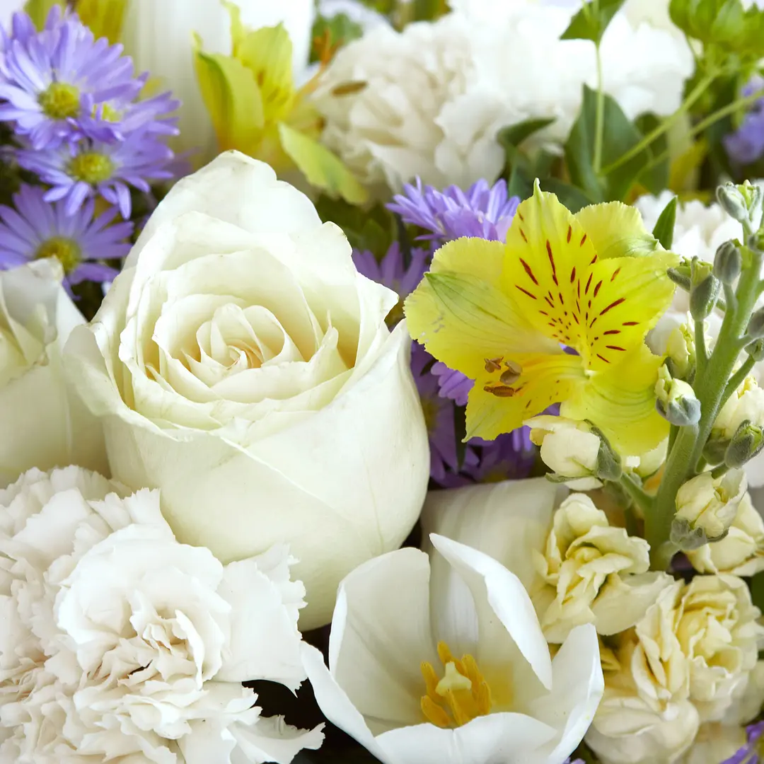 Blumen-Abo online bestellen | Bloom & Wild