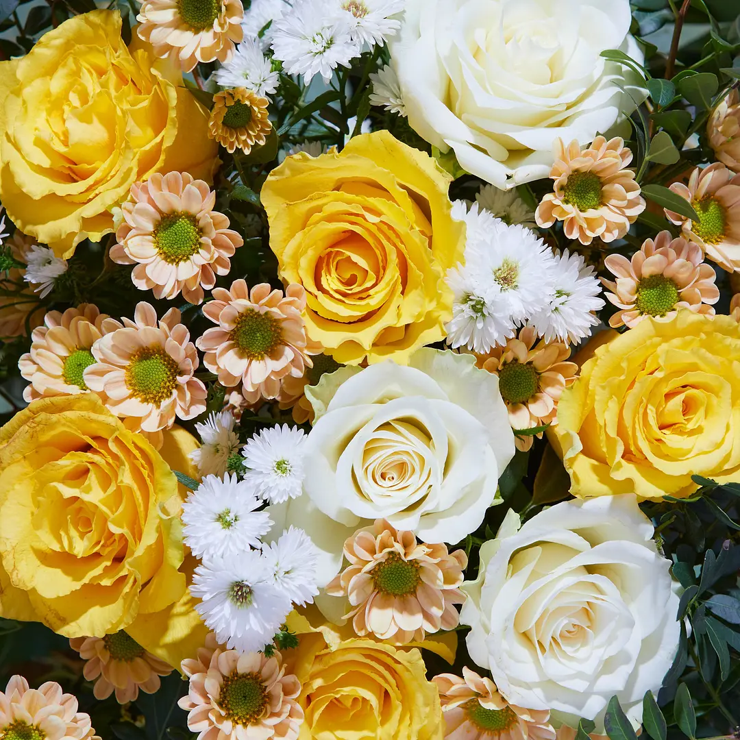 Flower Subscriptions & Bundles Bloom & Wild