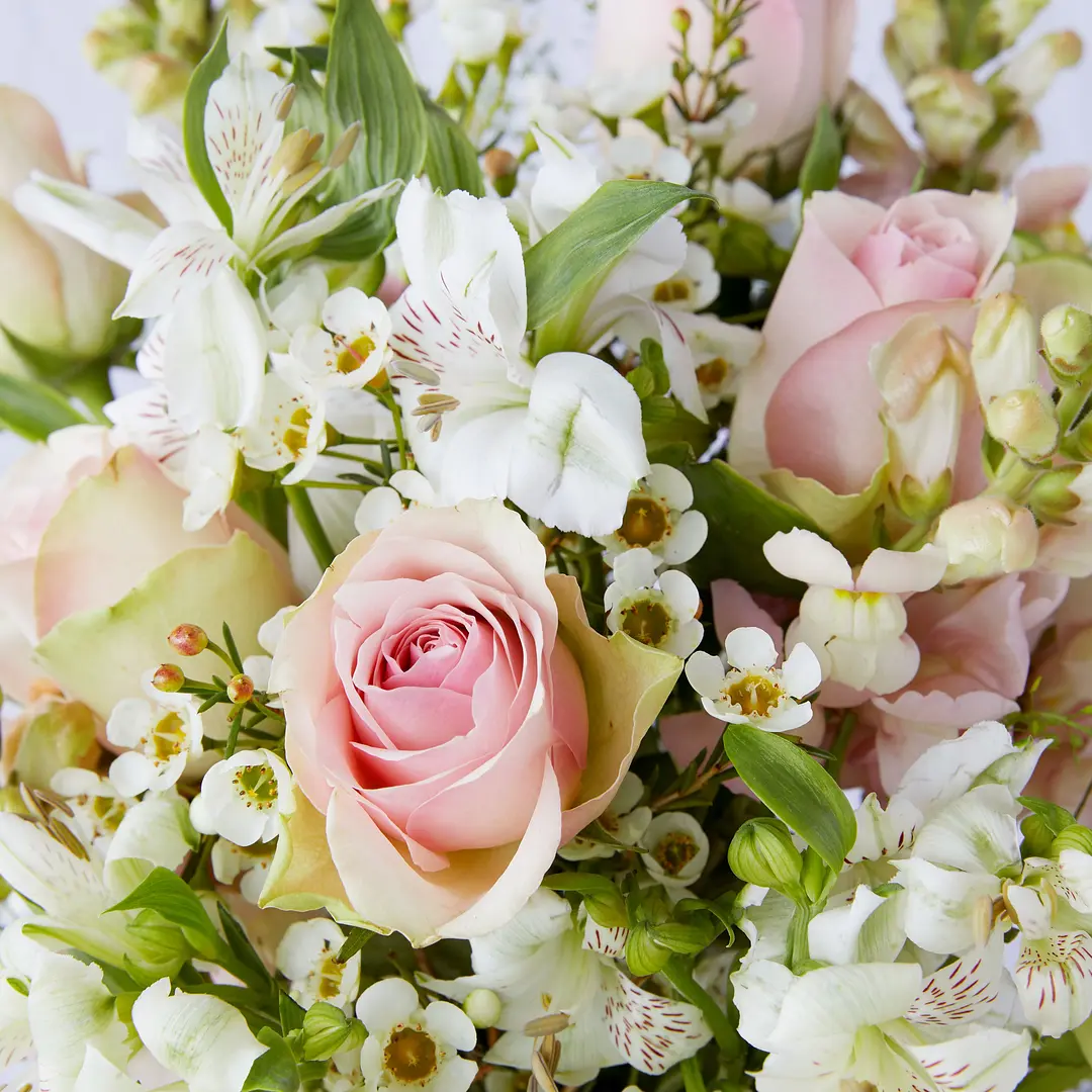 Flower Subscriptions & Bundles Bloom & Wild