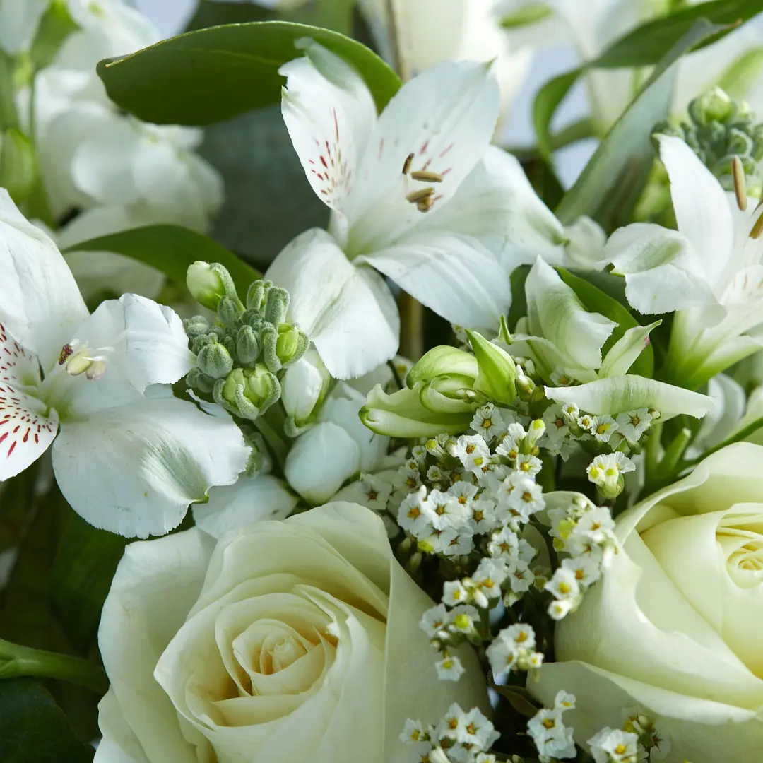 Flower Subscriptions Bloom & Wild Flower Delivery