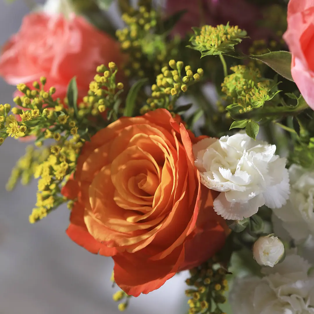 Bloom & Wild Flower Delivery Flowers & Gifts