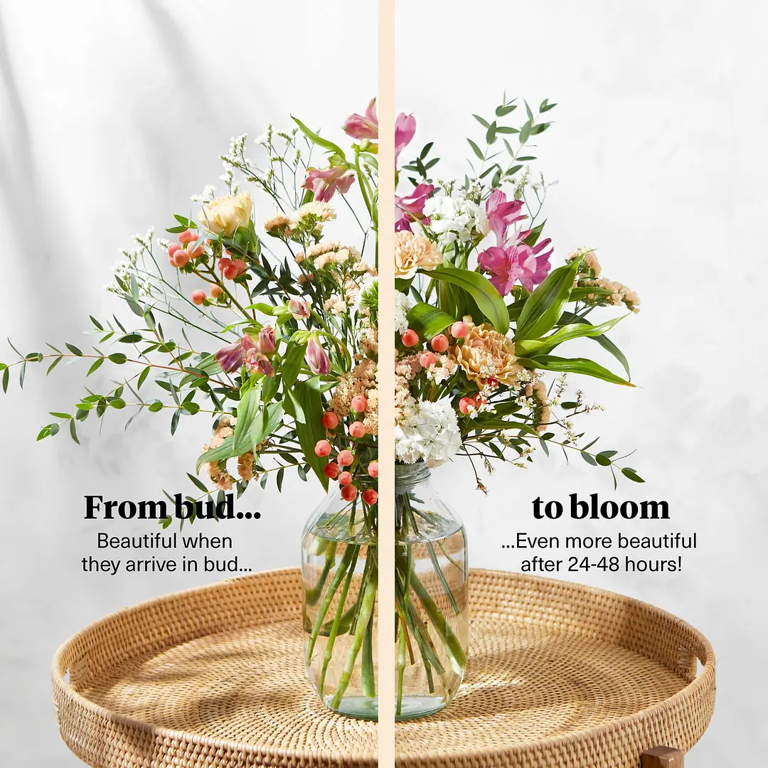 Letterbox Flowers Bloom & Wild Flower Delivery