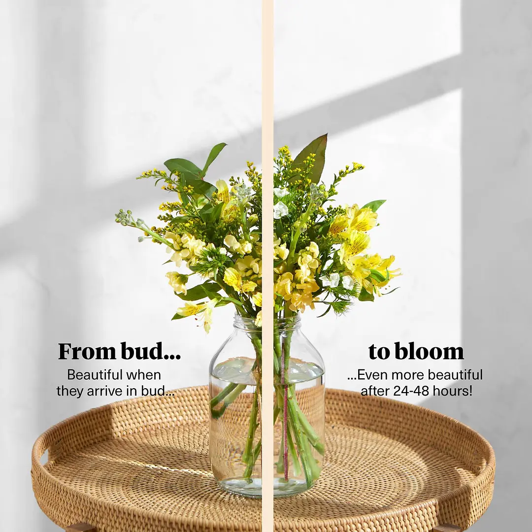 Letterbox Flowers Free Next Day UK Delivery Bloom & Wild