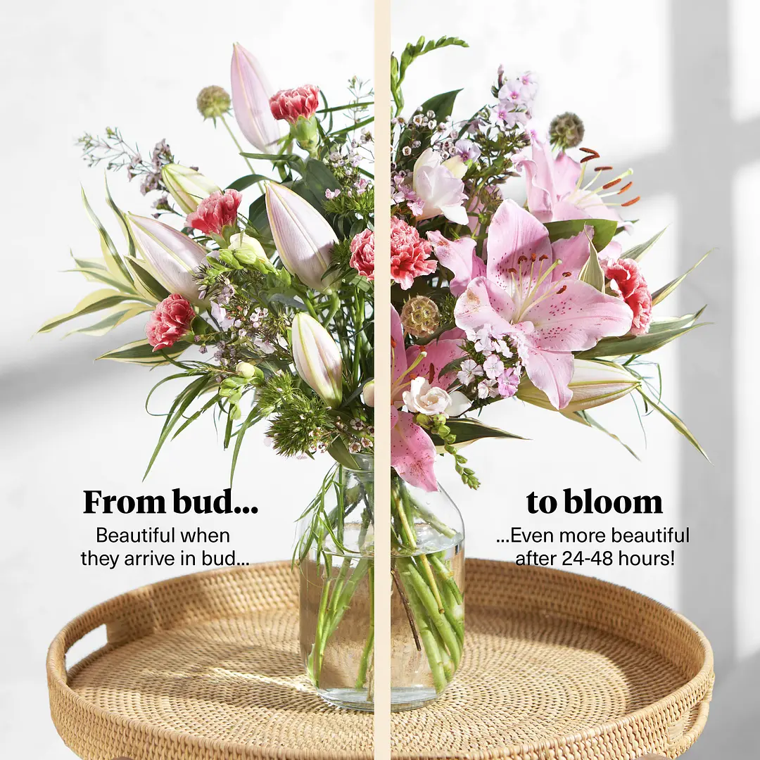 HandTied Flowers Free Next Day Delivery Bloom & Wild
