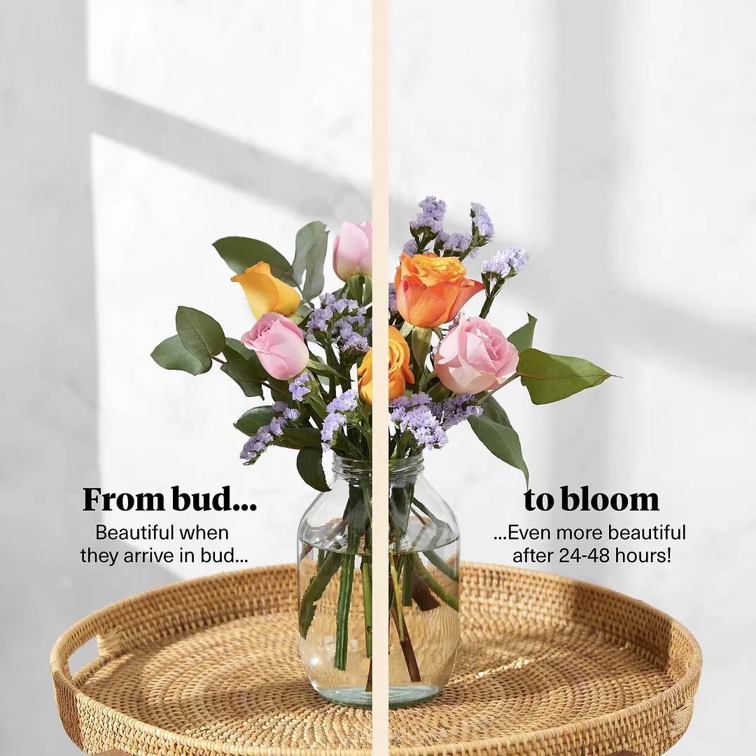 Letterbox Flowers Free Next Day UK Delivery Bloom & Wild