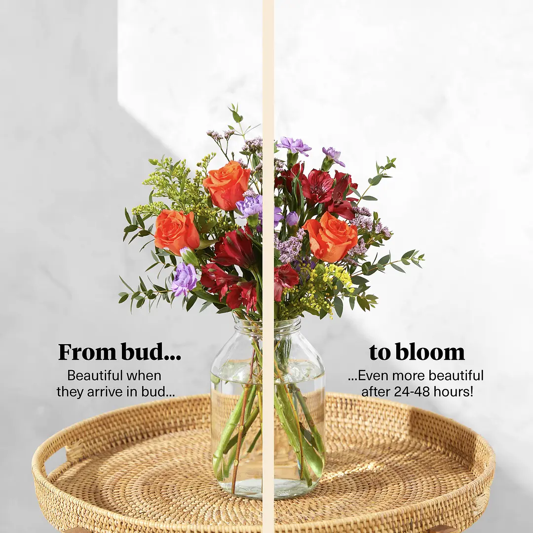 Just Because FlowersFree Next Day Online Flower Delivery UK