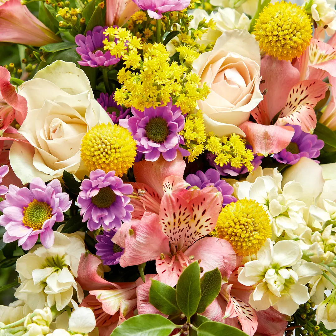 Send Flowers Online Flowers Delivery Bloom & Wild