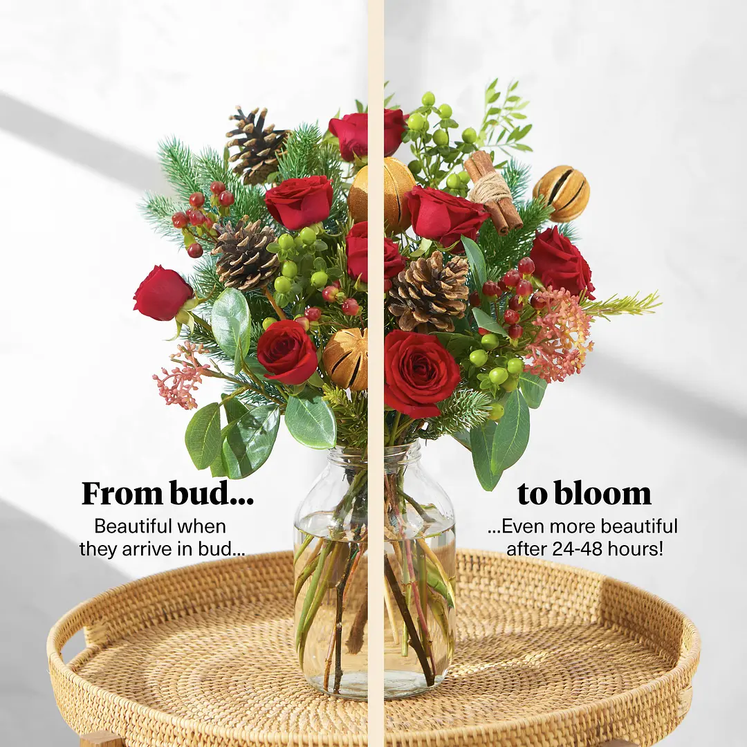 Bloom & Wild Flower Delivery Flowers & Gifts