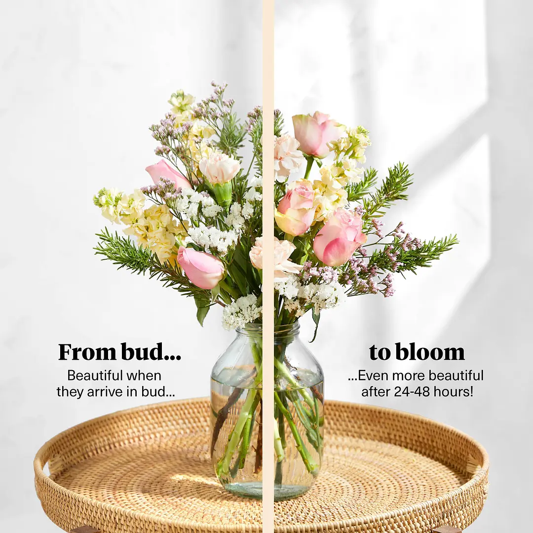 Flower Vases Bloom & Wild