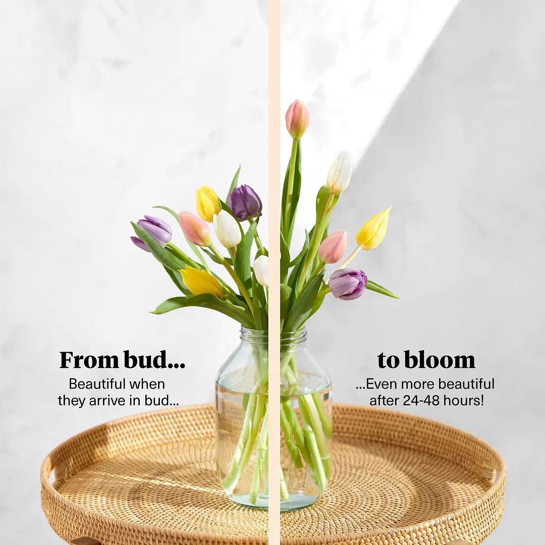 Get Well Soon Flowers For Him Uk Best Flower Site