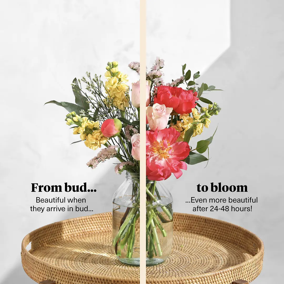 Bloom & Wild Flower Delivery Flowers & Gifts