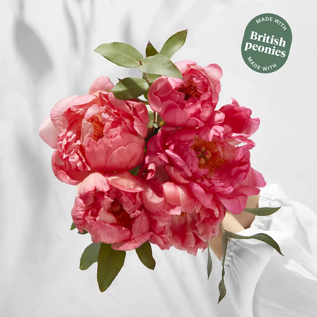 Bloom & Wild Flower Delivery Flowers & Gifts