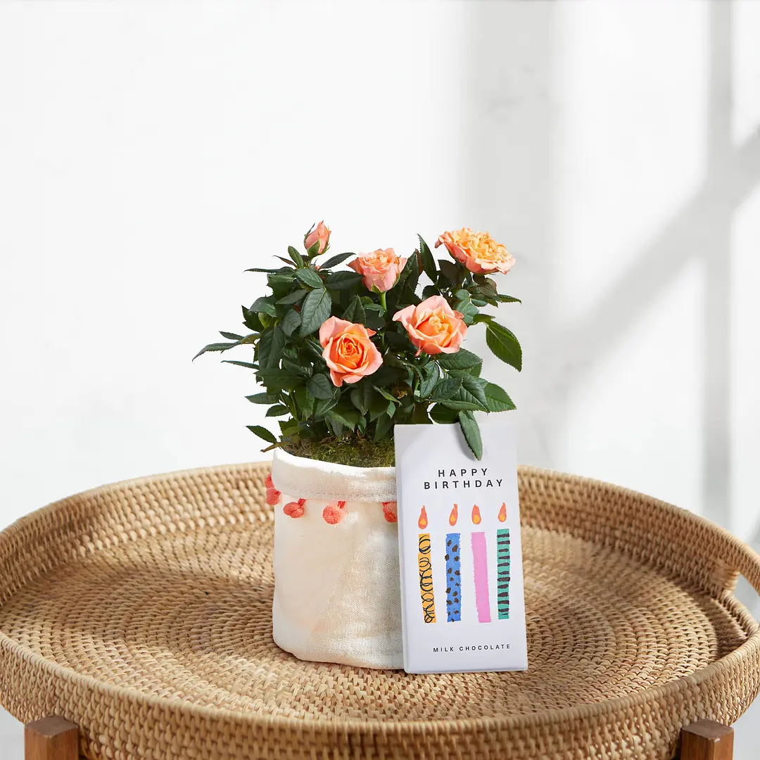 60th Birthday Flowers Next Day Delivery Bloom & Wild