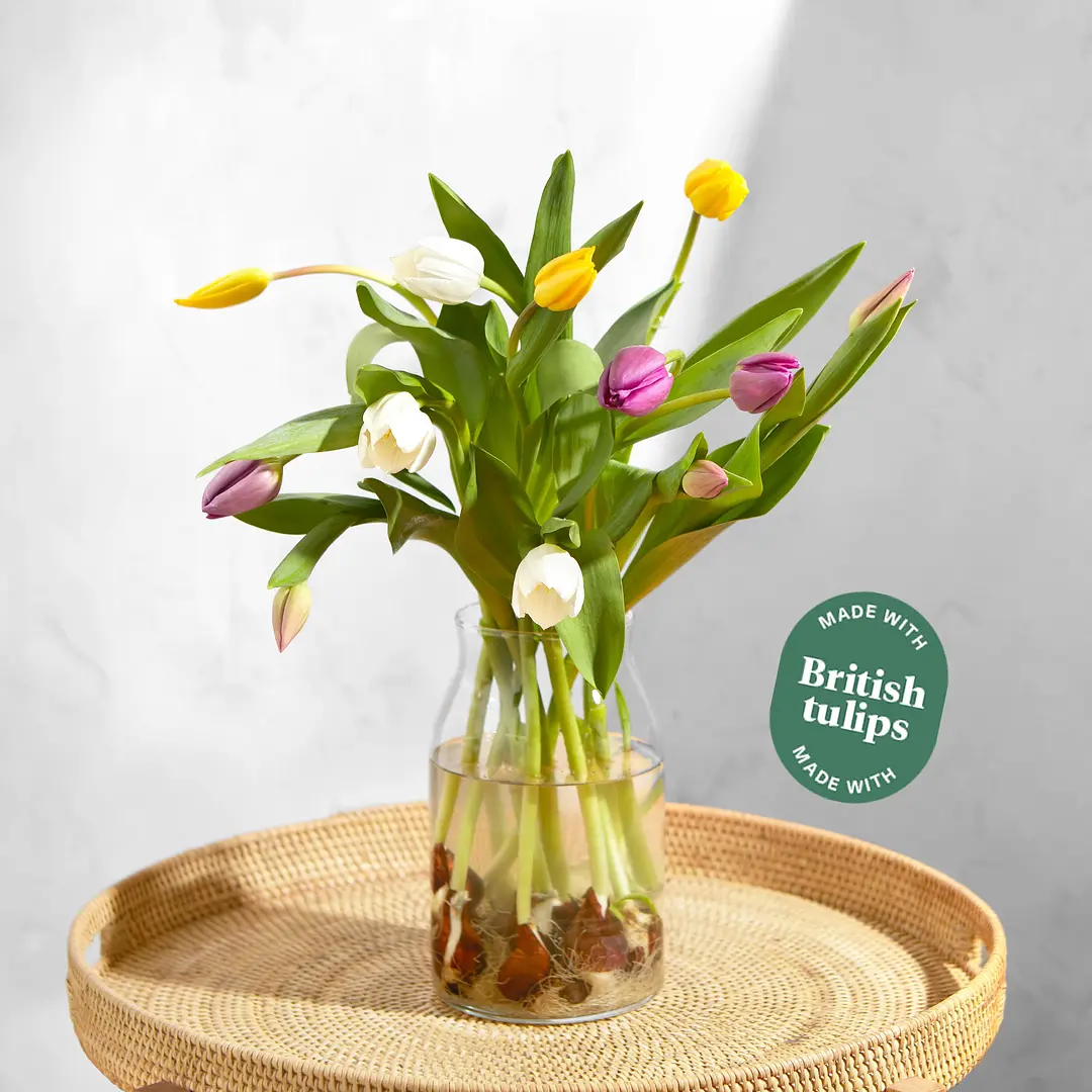 Get Well Soon Flowers For Him Uk Best Flower Site