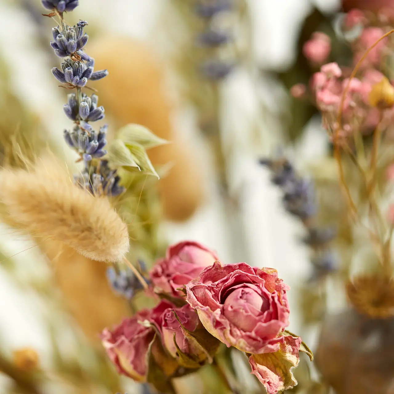 Bloom & Wild Dried Flowers UK