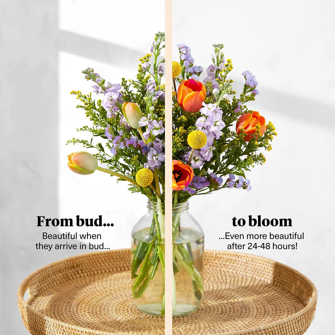 Best letterbox flowers 2025