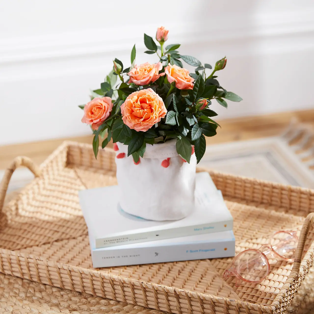 The Coral Rose | Letterbox Plants | Bloom u0026 Wild
