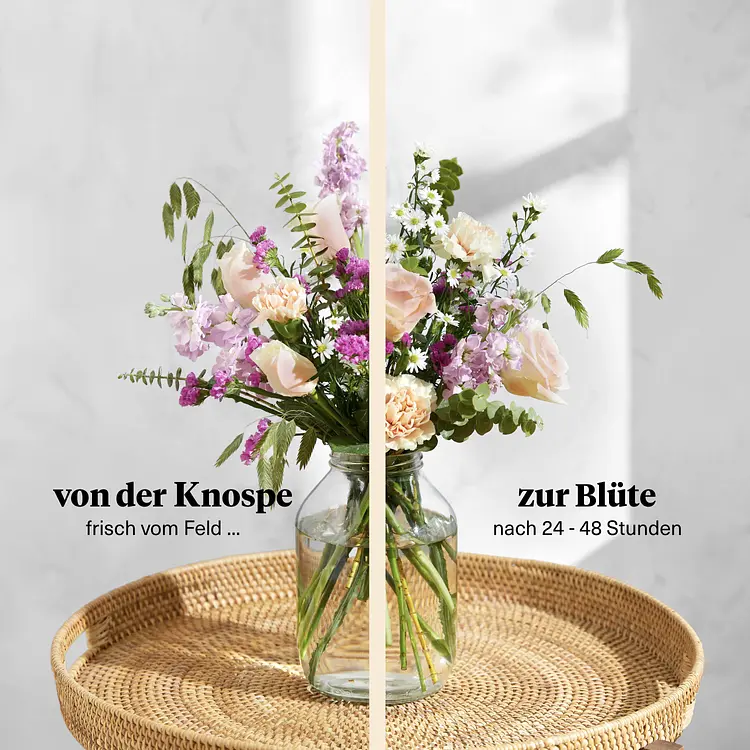 40+ Blumen Versenden München, Blumen verschicken geht ganz einfach: