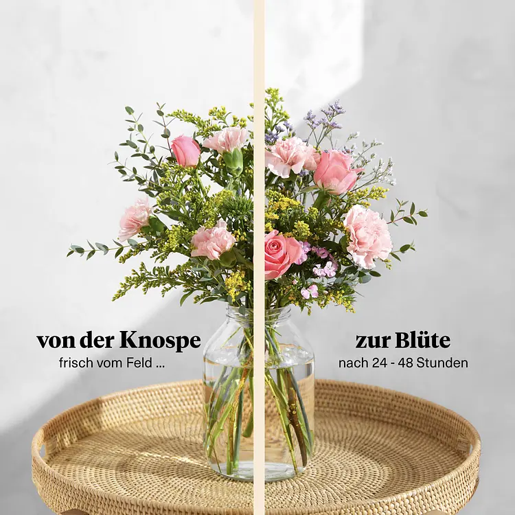 55+ Berlin Blumen Versenden, Lieferung von blumen nach berlin durch