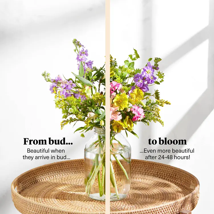 Flower Delivery Bloom & Wild Flowers & Plants by Post