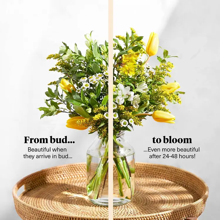 Flower Delivery Bloom & Wild Flowers & Plants by Post