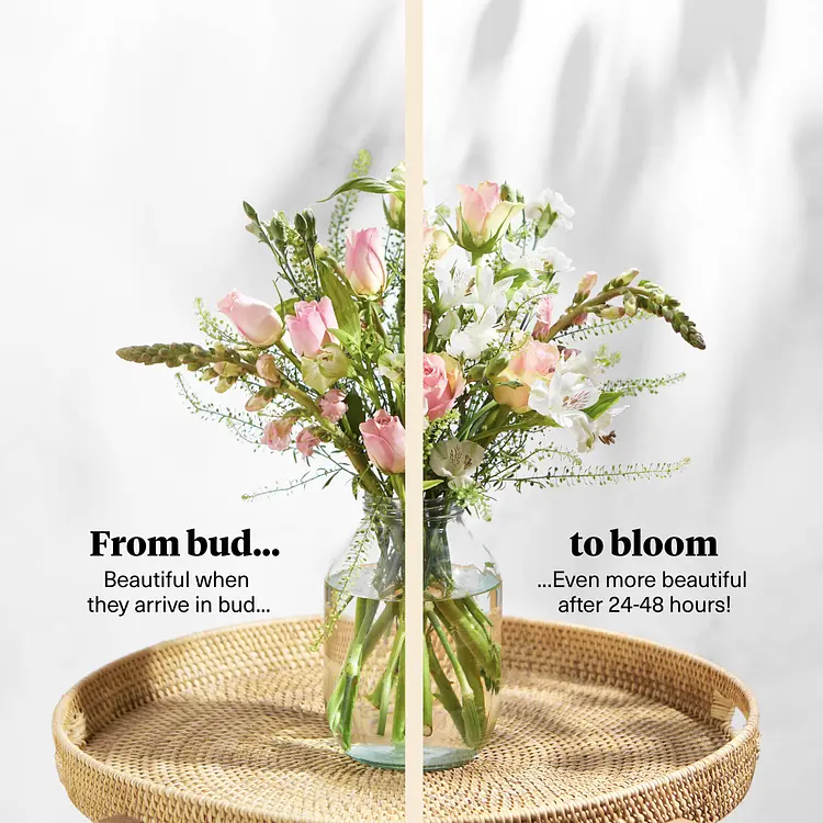 Flower Delivery Bloom & Wild Flowers & Plants by Post