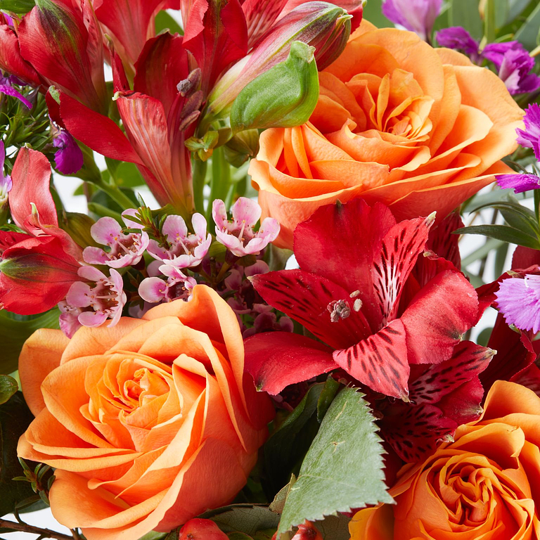 Bloom & Wild Flower Delivery Flowers & Gifts