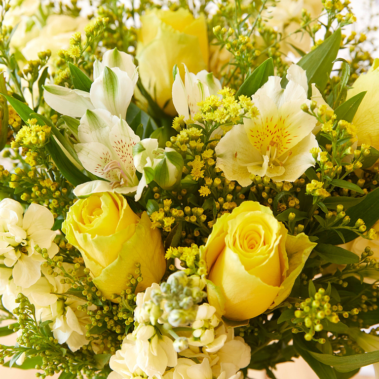 Bloom & Wild Flower Delivery Flowers & Gifts