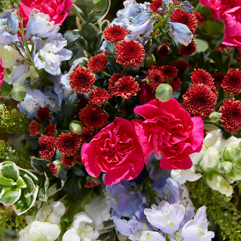 Bloom & Wild Flower Delivery Flowers & Gifts