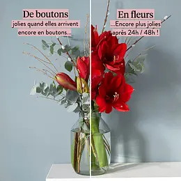 Bloom Wild Livraison De Fleurs Dès Le Lendemain