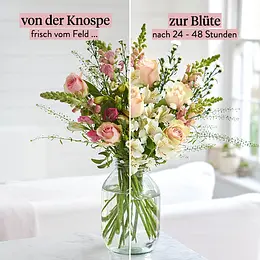 Blumen Versenden Nach Frankfurt Bloom Wild