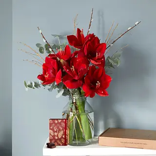 Livraison De Fleurs Bayonne Bloom Wild