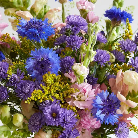 Letterbox Flowers Bloom Wild Flower Delivery
