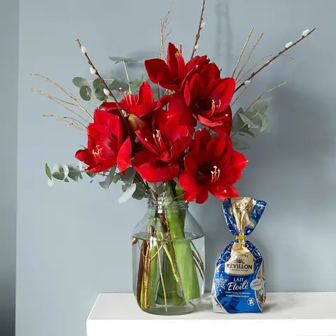 Bouquets De Fleurs Pour Noël Bloom Wild