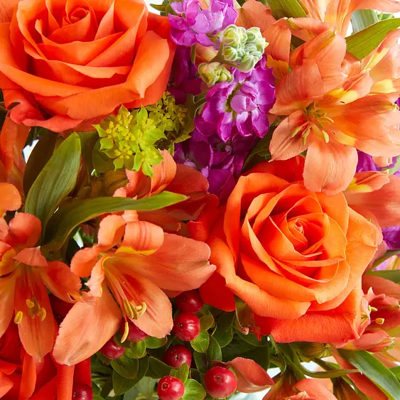 Abonnements Bouquets De Fleurs Bloom Wild