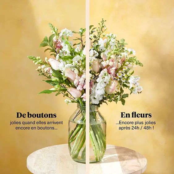 Bloom Wild Livraison De Fleurs Des Le Lendemain