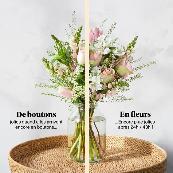 Bloom Wild Livraison De Fleurs Des Le Lendemain