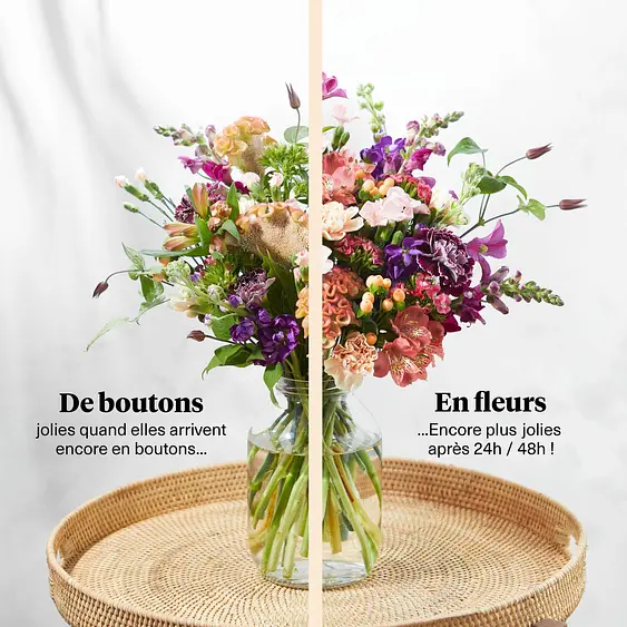 Envoyer Des Fleurs Bloom Wild