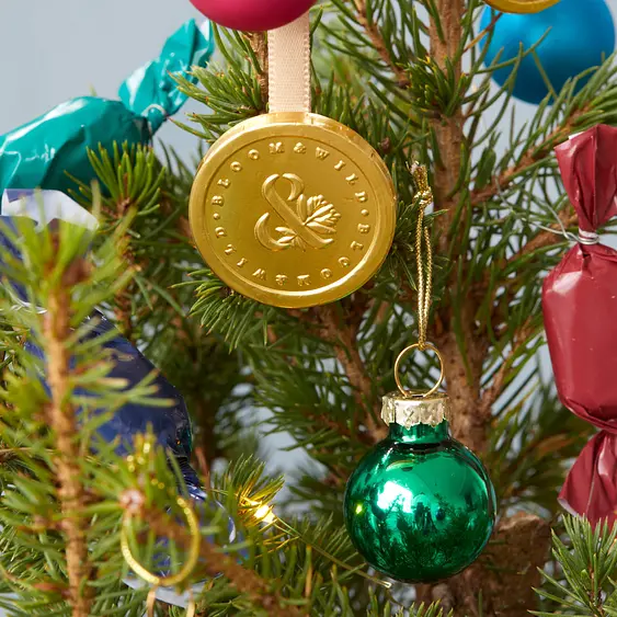 Mini Christmas Trees Next Day Online Tree Delivery