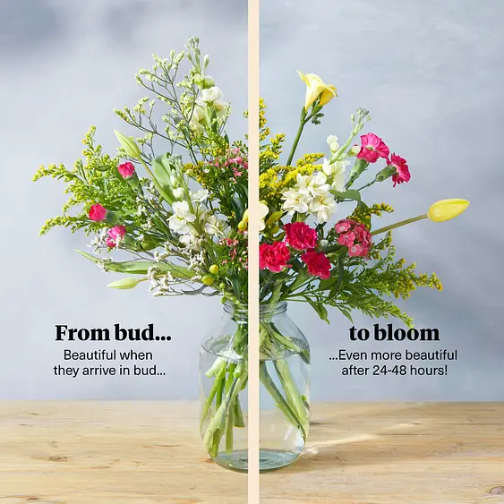 Send Flowers Online Flowers Delivery Bloom Wild