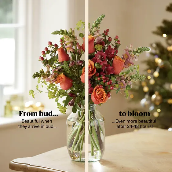 Send Flowers Online Flowers Delivery Bloom Wild