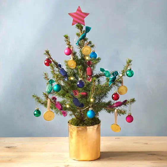 Mini Christmas Trees Next Day Online Tree Delivery